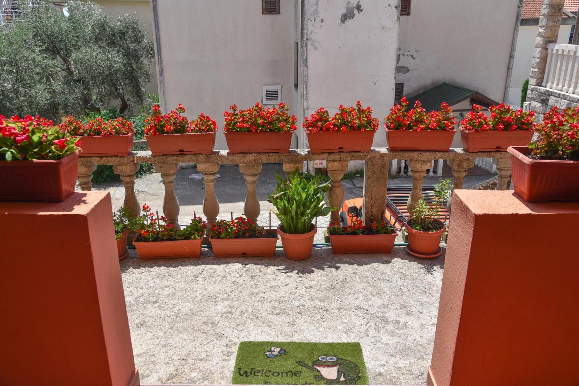 Apartments Vukotić Petrovac Zewnętrze zdjęcie