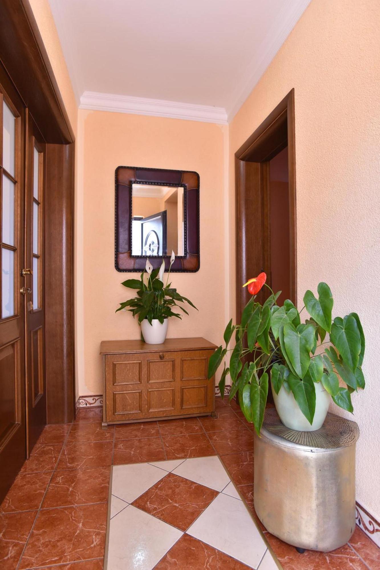 Apartments Vukotić Petrovac Zewnętrze zdjęcie